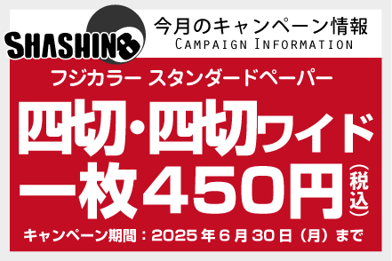 今月のキャンペーン情報