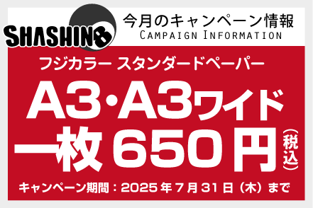 今月のキャンペーン情報