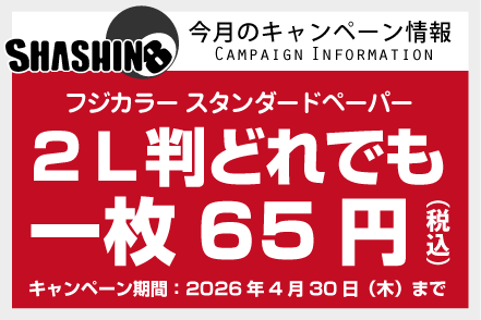 今月のキャンペーン情報