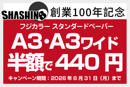 今月のキャンペーン情報