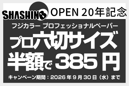 今月のキャンペーン情報
