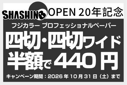 今月のキャンペーン情報